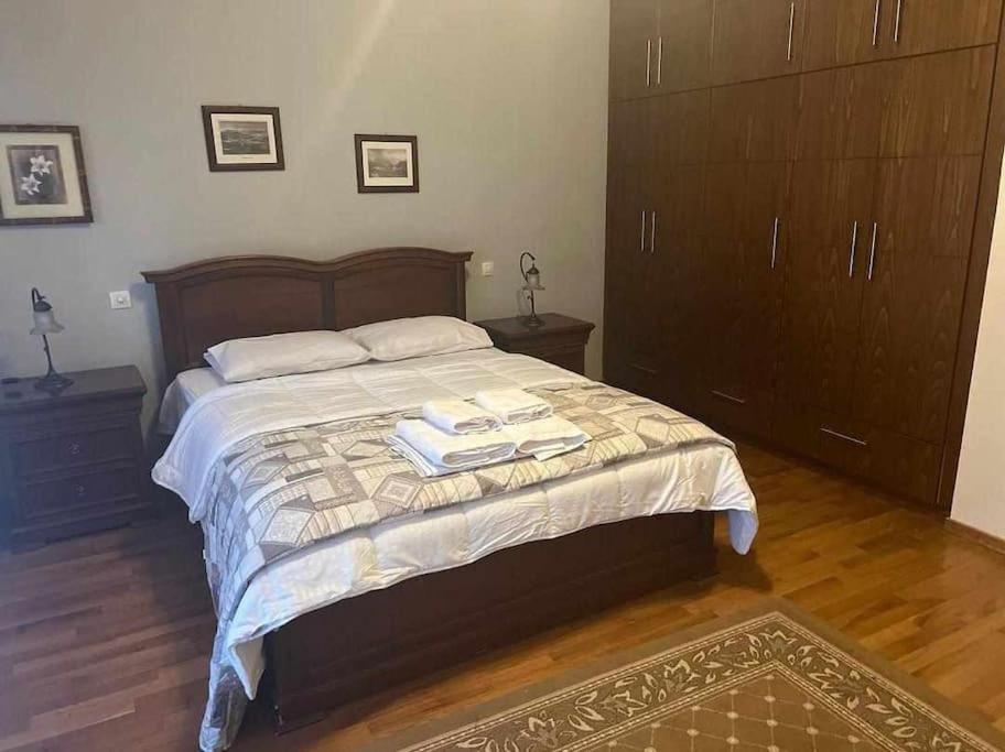Villa Το Σπίτι Του Μύλου Των Ξωτικών Tríkala Esterno foto